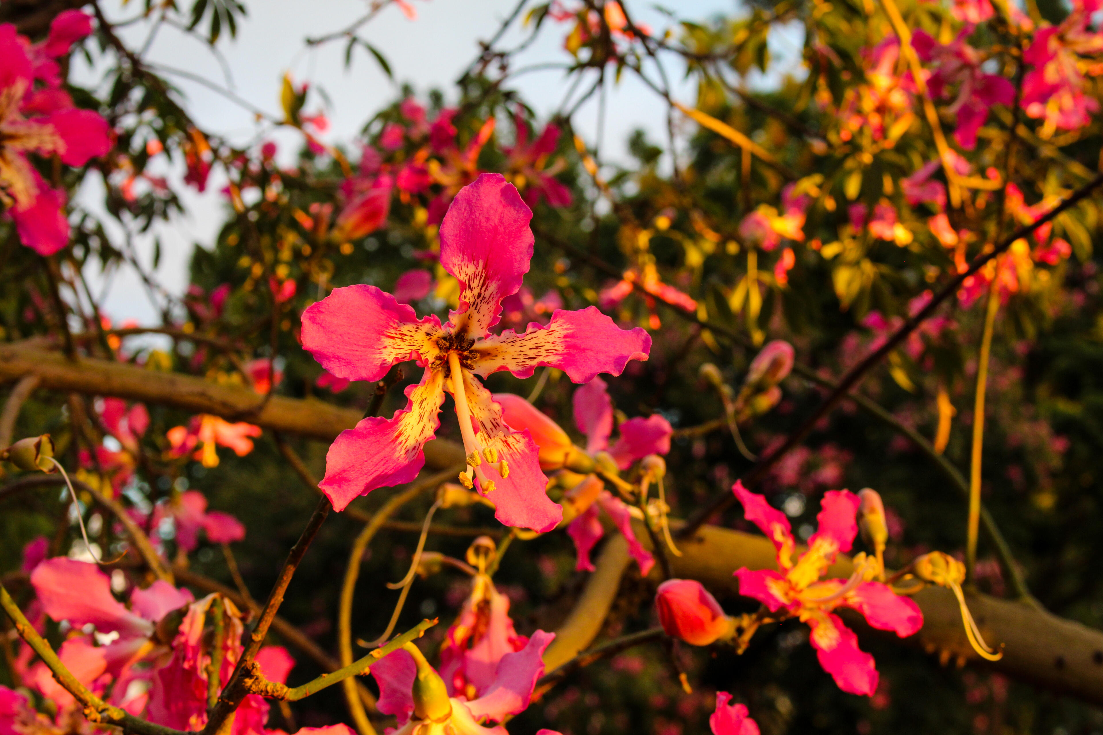 Fall