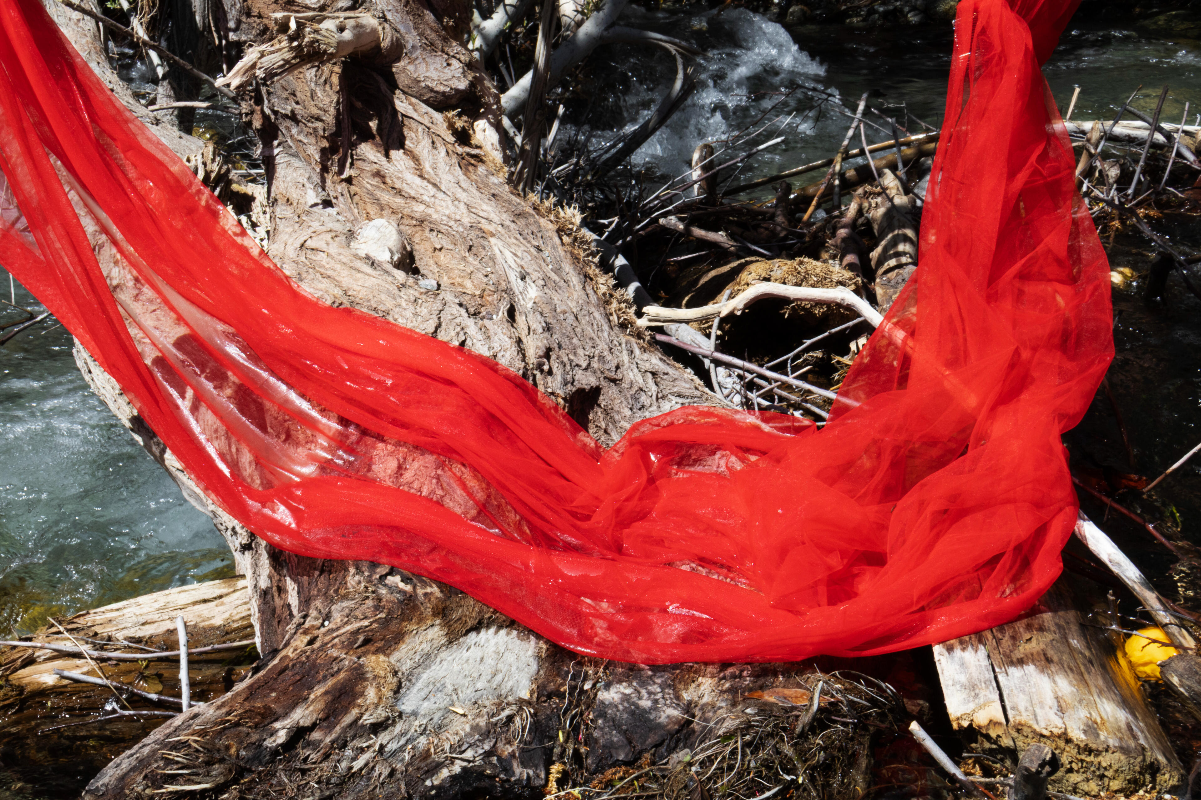 The Ambiguity of Girlhood